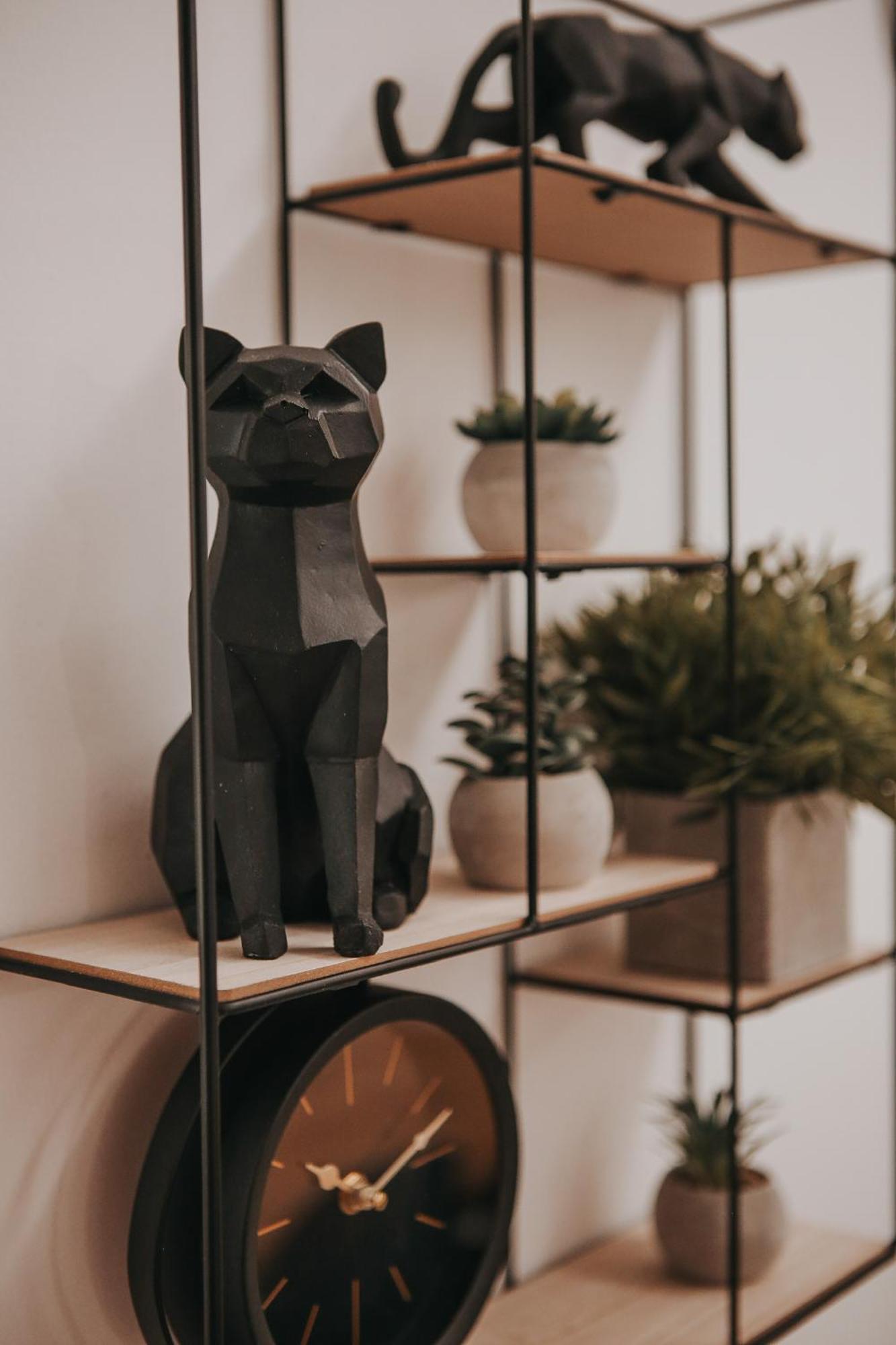 Zizkoff Apartamento